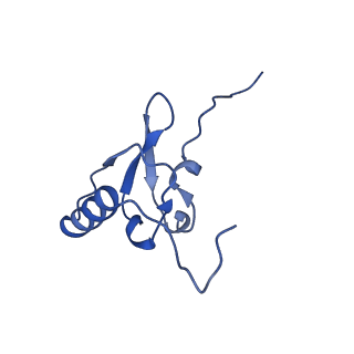 21031_6v3a_s_v1-0
Cryo-EM structure of the Acinetobacter baumannii Ribosome: 70S with E-site tRNA