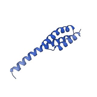 21031_6v3a_t_v1-0
Cryo-EM structure of the Acinetobacter baumannii Ribosome: 70S with E-site tRNA