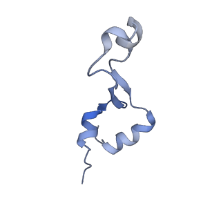 21032_6v3b_2_v1-0
Cryo-EM structure of the Acinetobacter baumannii Ribosome: 70S in Empty state