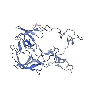 21032_6v3b_C_v1-0
Cryo-EM structure of the Acinetobacter baumannii Ribosome: 70S in Empty state