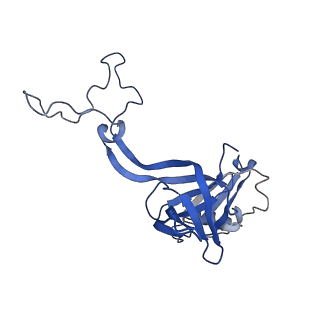 21032_6v3b_D_v1-0
Cryo-EM structure of the Acinetobacter baumannii Ribosome: 70S in Empty state