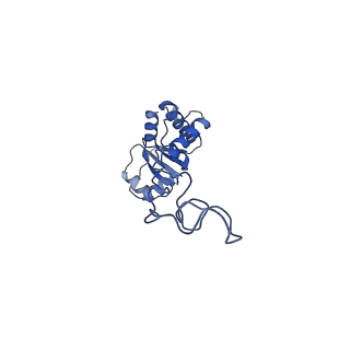 21032_6v3b_E_v1-0
Cryo-EM structure of the Acinetobacter baumannii Ribosome: 70S in Empty state
