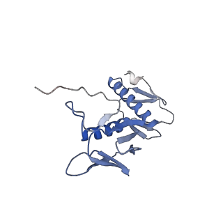 21032_6v3b_G_v1-0
Cryo-EM structure of the Acinetobacter baumannii Ribosome: 70S in Empty state