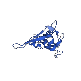 21032_6v3b_I_v1-0
Cryo-EM structure of the Acinetobacter baumannii Ribosome: 70S in Empty state