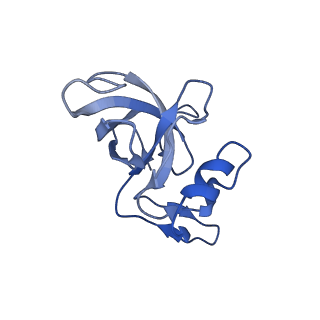 21032_6v3b_J_v1-0
Cryo-EM structure of the Acinetobacter baumannii Ribosome: 70S in Empty state
