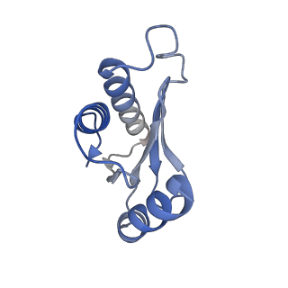 21032_6v3b_N_v1-0
Cryo-EM structure of the Acinetobacter baumannii Ribosome: 70S in Empty state