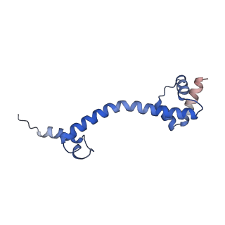 21032_6v3b_P_v1-0
Cryo-EM structure of the Acinetobacter baumannii Ribosome: 70S in Empty state