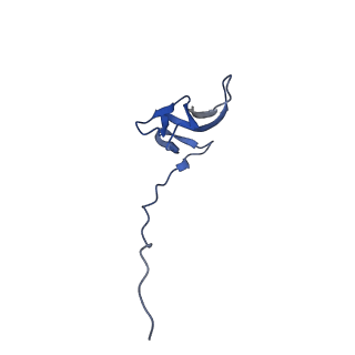 21032_6v3b_V_v1-0
Cryo-EM structure of the Acinetobacter baumannii Ribosome: 70S in Empty state