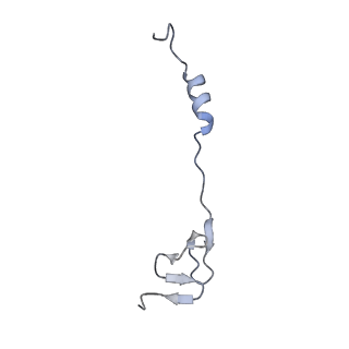 21032_6v3b_Z_v1-0
Cryo-EM structure of the Acinetobacter baumannii Ribosome: 70S in Empty state