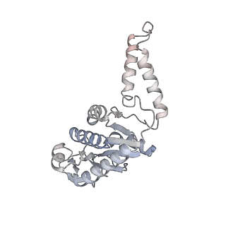 21032_6v3b_b_v1-0
Cryo-EM structure of the Acinetobacter baumannii Ribosome: 70S in Empty state