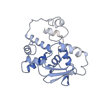21032_6v3b_d_v1-0
Cryo-EM structure of the Acinetobacter baumannii Ribosome: 70S in Empty state