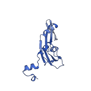 21032_6v3b_e_v1-0
Cryo-EM structure of the Acinetobacter baumannii Ribosome: 70S in Empty state
