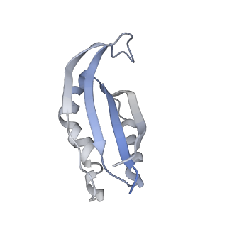 21032_6v3b_f_v1-0
Cryo-EM structure of the Acinetobacter baumannii Ribosome: 70S in Empty state