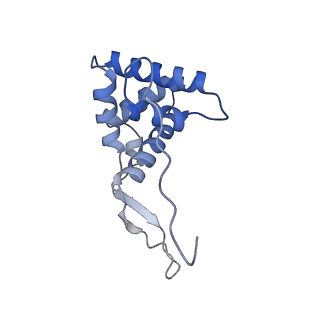 21032_6v3b_g_v1-0
Cryo-EM structure of the Acinetobacter baumannii Ribosome: 70S in Empty state