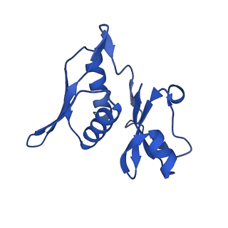 21032_6v3b_h_v1-0
Cryo-EM structure of the Acinetobacter baumannii Ribosome: 70S in Empty state