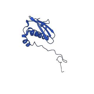 21032_6v3b_i_v1-0
Cryo-EM structure of the Acinetobacter baumannii Ribosome: 70S in Empty state