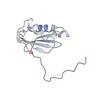 21032_6v3b_k_v1-0
Cryo-EM structure of the Acinetobacter baumannii Ribosome: 70S in Empty state