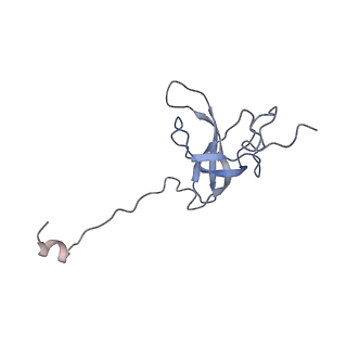 21032_6v3b_l_v1-0
Cryo-EM structure of the Acinetobacter baumannii Ribosome: 70S in Empty state