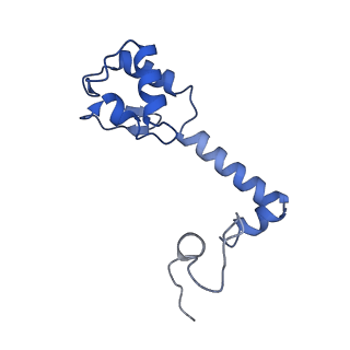 21032_6v3b_m_v1-0
Cryo-EM structure of the Acinetobacter baumannii Ribosome: 70S in Empty state