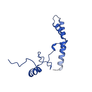 21032_6v3b_n_v1-0
Cryo-EM structure of the Acinetobacter baumannii Ribosome: 70S in Empty state
