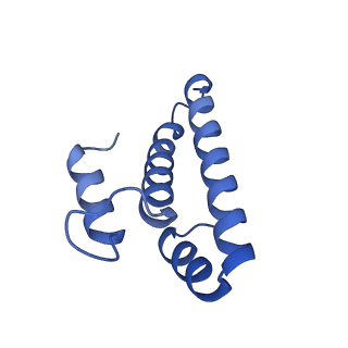 21032_6v3b_o_v1-0
Cryo-EM structure of the Acinetobacter baumannii Ribosome: 70S in Empty state