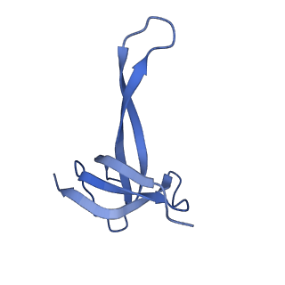 21032_6v3b_q_v1-0
Cryo-EM structure of the Acinetobacter baumannii Ribosome: 70S in Empty state