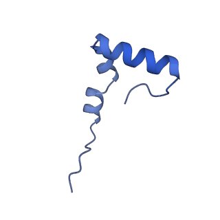21033_6v3d_1_v1-0
Cryo-EM structure of the Acinetobacter baumannii Ribosome: 50S subunit