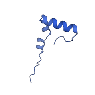 21033_6v3d_1_v1-1
Cryo-EM structure of the Acinetobacter baumannii Ribosome: 50S subunit