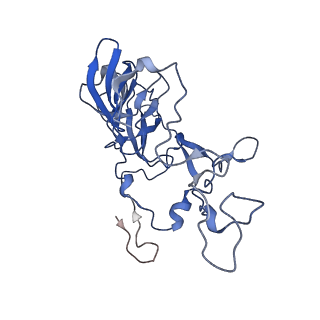 21033_6v3d_C_v1-0
Cryo-EM structure of the Acinetobacter baumannii Ribosome: 50S subunit