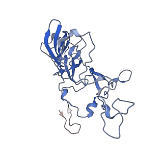 21033_6v3d_C_v1-1
Cryo-EM structure of the Acinetobacter baumannii Ribosome: 50S subunit