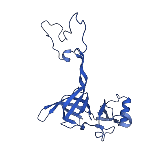 21033_6v3d_D_v1-0
Cryo-EM structure of the Acinetobacter baumannii Ribosome: 50S subunit