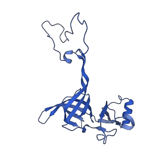 21033_6v3d_D_v1-1
Cryo-EM structure of the Acinetobacter baumannii Ribosome: 50S subunit