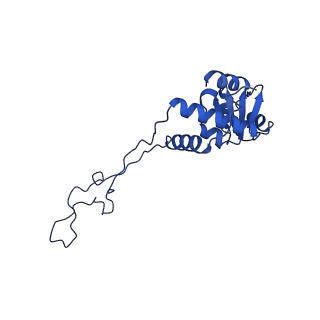 21033_6v3d_E_v1-0
Cryo-EM structure of the Acinetobacter baumannii Ribosome: 50S subunit