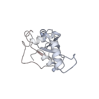 21033_6v3d_F_v1-0
Cryo-EM structure of the Acinetobacter baumannii Ribosome: 50S subunit