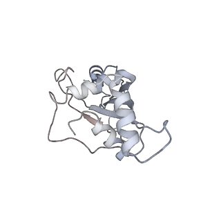 21033_6v3d_F_v1-1
Cryo-EM structure of the Acinetobacter baumannii Ribosome: 50S subunit