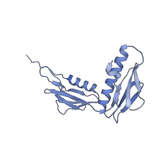 21033_6v3d_G_v1-0
Cryo-EM structure of the Acinetobacter baumannii Ribosome: 50S subunit