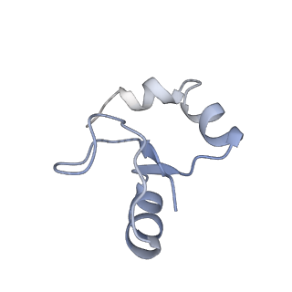 21033_6v3d_H_v1-1
Cryo-EM structure of the Acinetobacter baumannii Ribosome: 50S subunit
