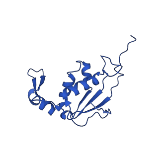 21033_6v3d_I_v1-0
Cryo-EM structure of the Acinetobacter baumannii Ribosome: 50S subunit