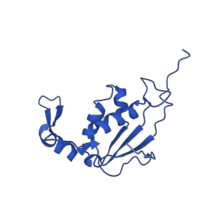 21033_6v3d_I_v1-1
Cryo-EM structure of the Acinetobacter baumannii Ribosome: 50S subunit