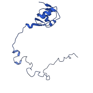 21033_6v3d_K_v1-0
Cryo-EM structure of the Acinetobacter baumannii Ribosome: 50S subunit