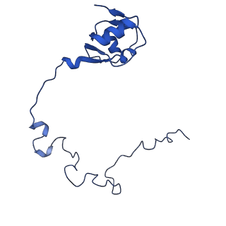 21033_6v3d_K_v1-1
Cryo-EM structure of the Acinetobacter baumannii Ribosome: 50S subunit