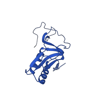 21033_6v3d_L_v1-0
Cryo-EM structure of the Acinetobacter baumannii Ribosome: 50S subunit