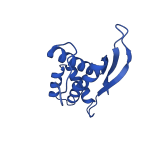 21033_6v3d_M_v1-0
Cryo-EM structure of the Acinetobacter baumannii Ribosome: 50S subunit