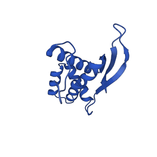 21033_6v3d_M_v1-1
Cryo-EM structure of the Acinetobacter baumannii Ribosome: 50S subunit