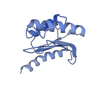 21033_6v3d_N_v1-0
Cryo-EM structure of the Acinetobacter baumannii Ribosome: 50S subunit