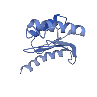 21033_6v3d_N_v1-1
Cryo-EM structure of the Acinetobacter baumannii Ribosome: 50S subunit