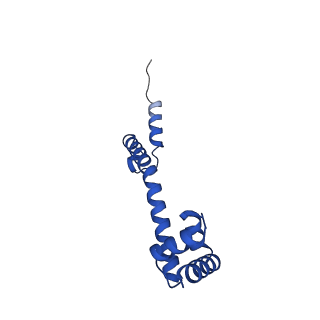21033_6v3d_P_v1-0
Cryo-EM structure of the Acinetobacter baumannii Ribosome: 50S subunit