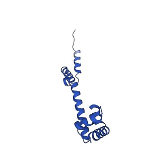 21033_6v3d_P_v1-1
Cryo-EM structure of the Acinetobacter baumannii Ribosome: 50S subunit