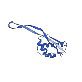 21033_6v3d_R_v1-1
Cryo-EM structure of the Acinetobacter baumannii Ribosome: 50S subunit