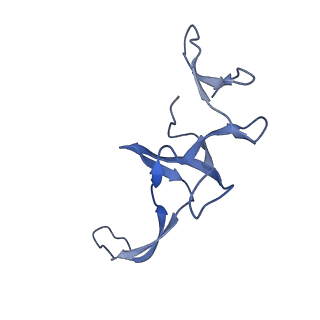21033_6v3d_T_v1-0
Cryo-EM structure of the Acinetobacter baumannii Ribosome: 50S subunit